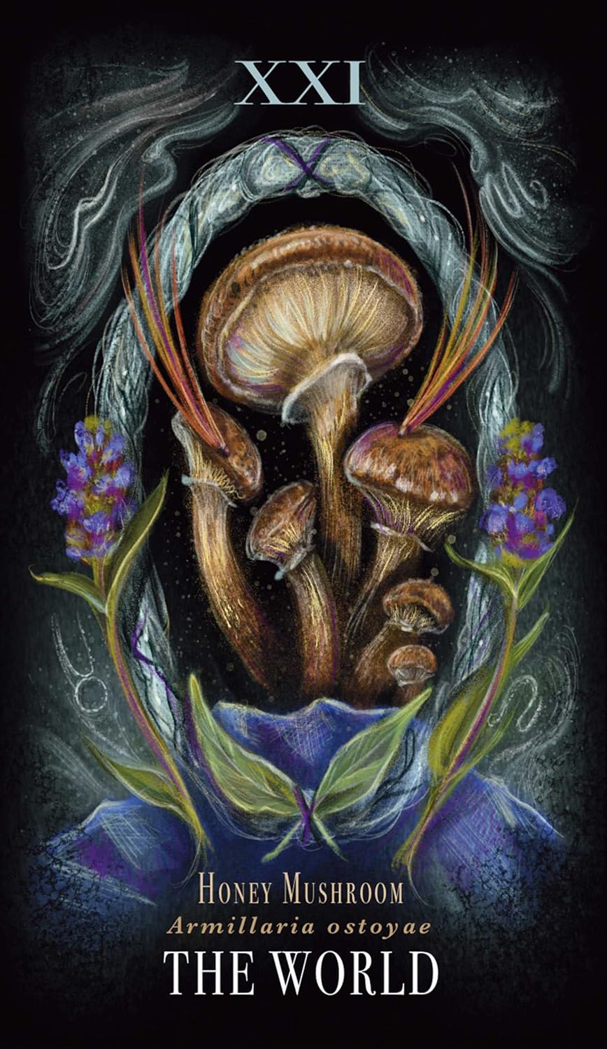 Midnight Magic - A Tarot Deck of Mushrooms