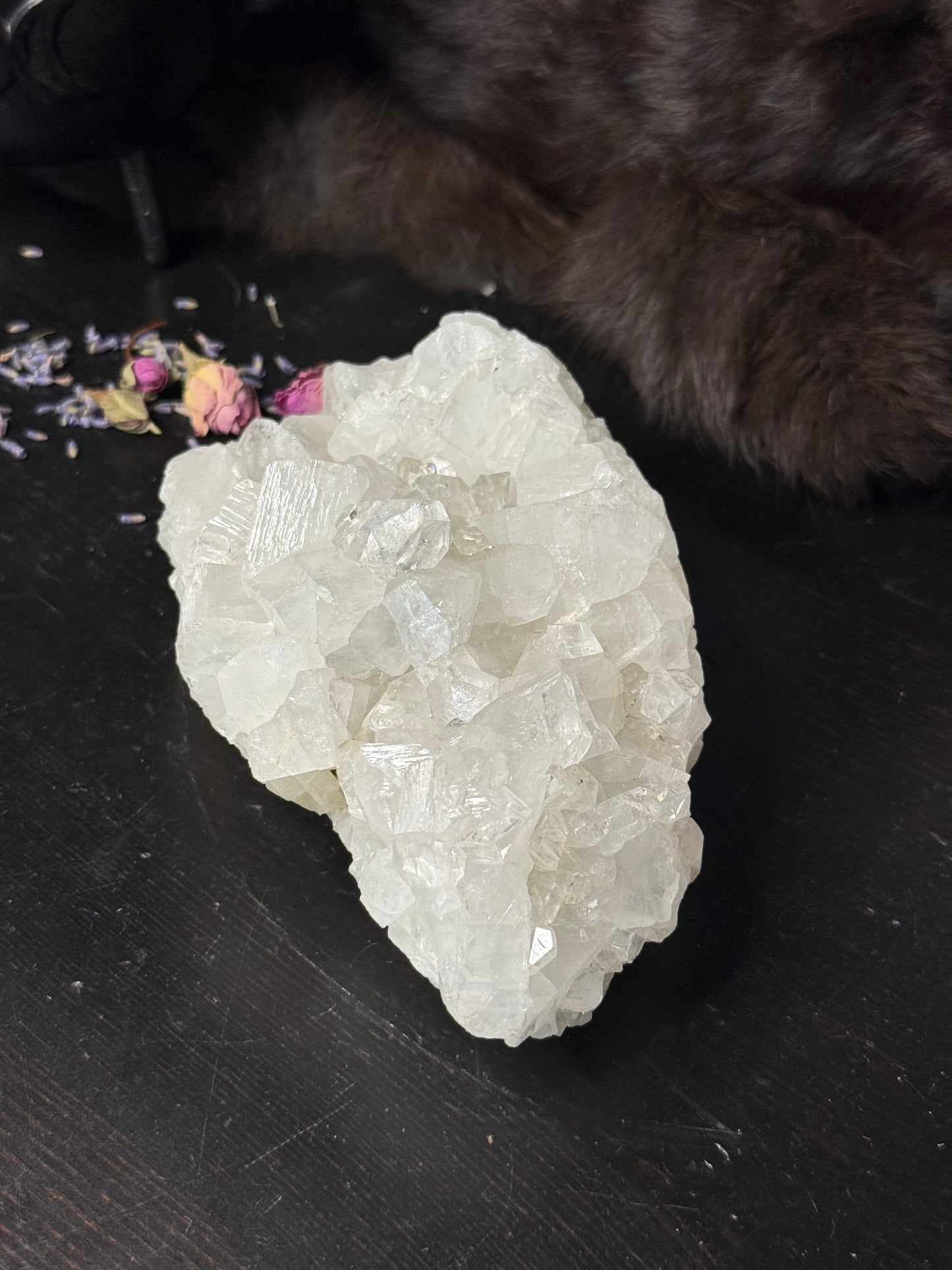 Apophyllite Cluster / 2