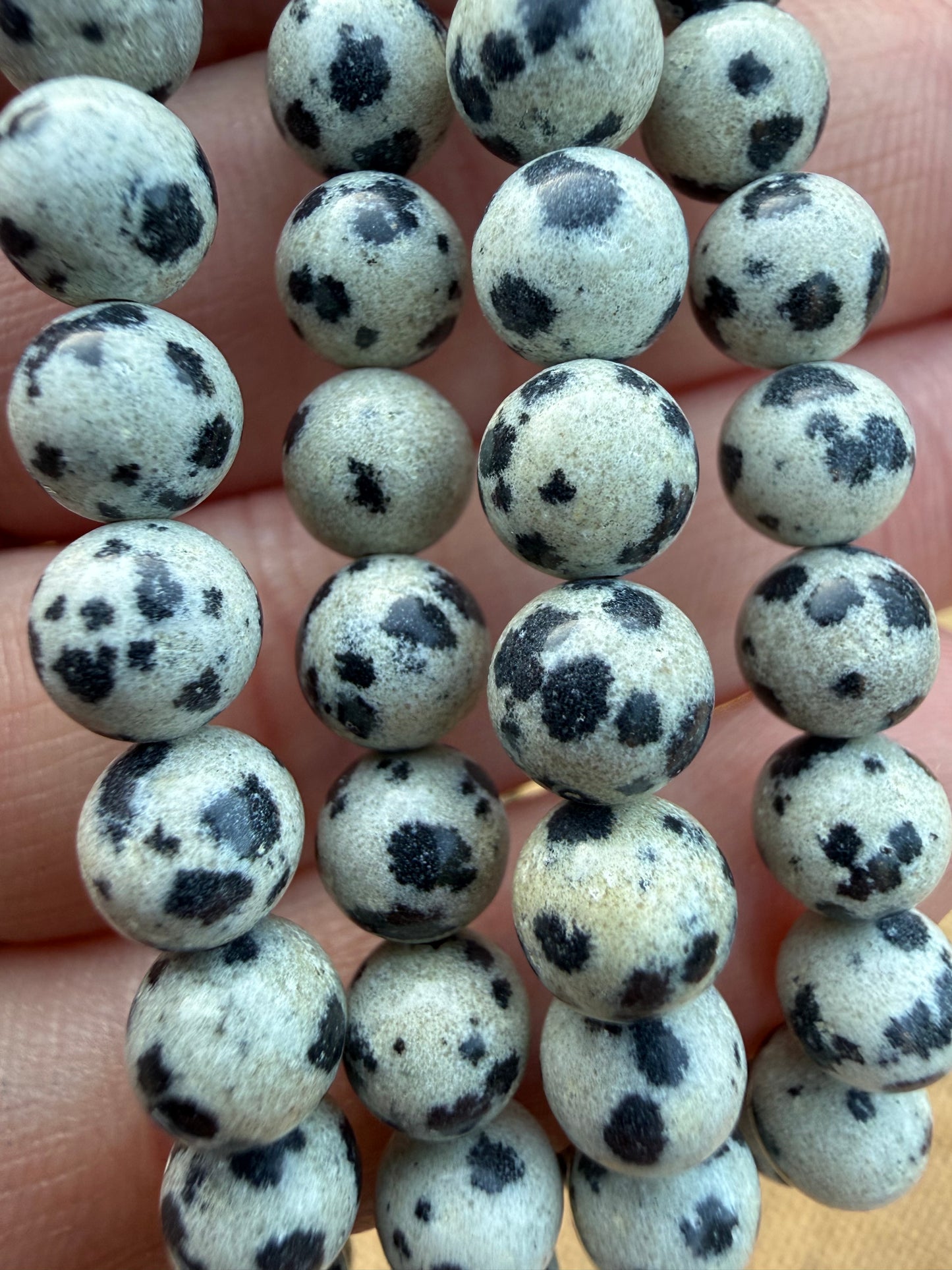 Dalmation Jasper Bracelet