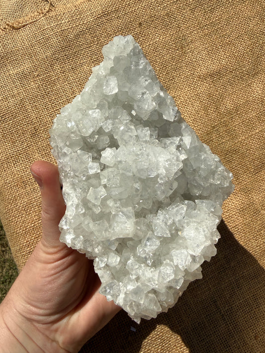Apophyllite Cluster / 1