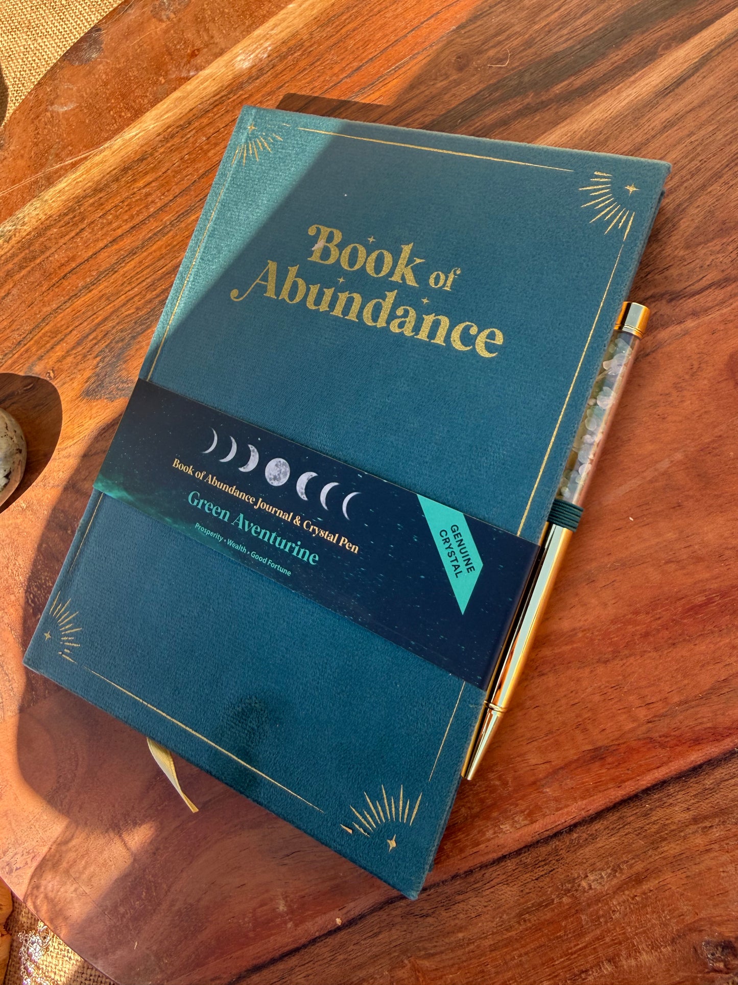 Book of Abundance A5 Notebook w/ pen