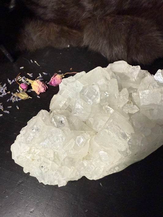Apophyllite Cluster / 2