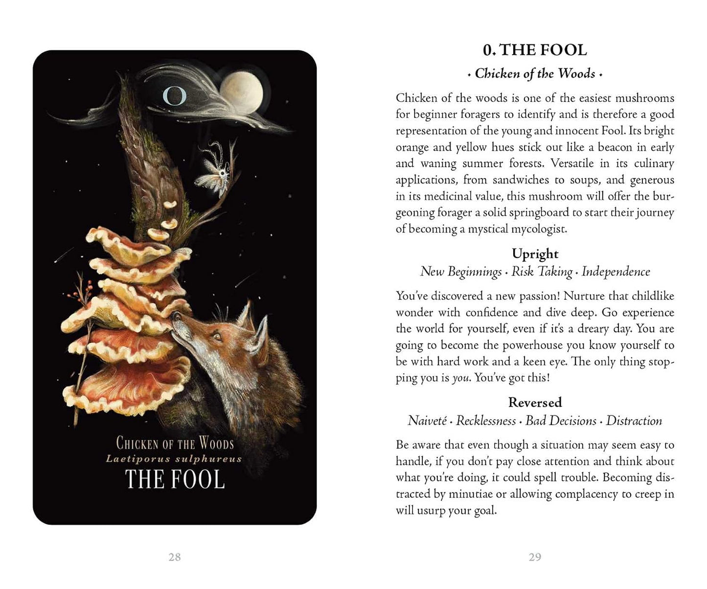 Midnight Magic - A Tarot Deck of Mushrooms