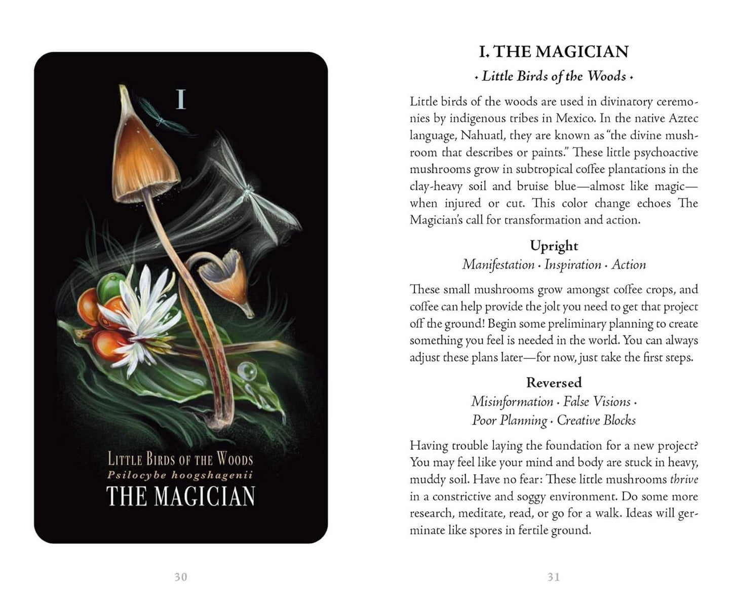 Midnight Magic - A Tarot Deck of Mushrooms