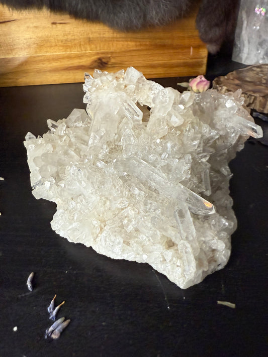 Clear Quartz Cluster